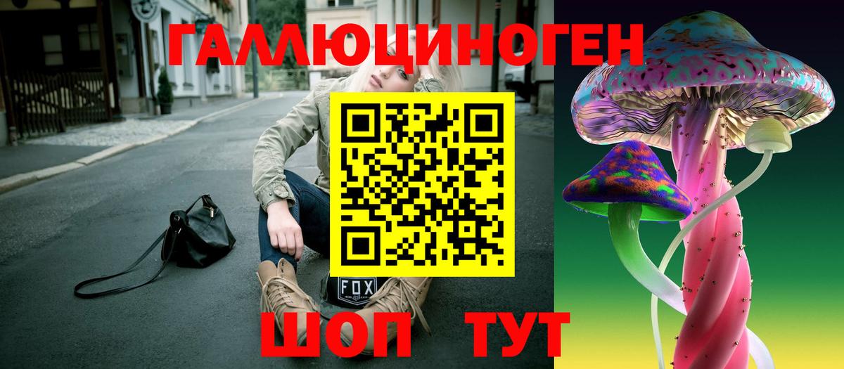 Тосно  Галлюциногенные грибы Psilocybine cubensis  Вход с VPN 